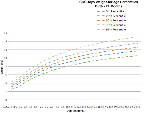 The horizontal axis shows the age in months from 0 to 24 months. 
The vertical axis shows the weight in kilograms from 0 to 16 kilograms (kg). 
The dark green line represents the 5th percentile. It starts at over 2 kg at 0 months and ends at 10 kg at 24 months. 
The dark blue line represents the 25th percentile. It starts at about 3 kg at 0 months and ends at about 11 kg at 24 months. 
The orange line represents the 50th percentile. It starts at over 3 kg at 0 months and ends at about 12 kg at 24 months. 
The light blue line represents the 75th percentile. It starts at under 4 kg at 0 months and ends at about 13 kg at 24 months.  
The light green line represents the 95th percentile. It starts at over 4 kg at 0 months and ends at over 14 kg at 24 months.
