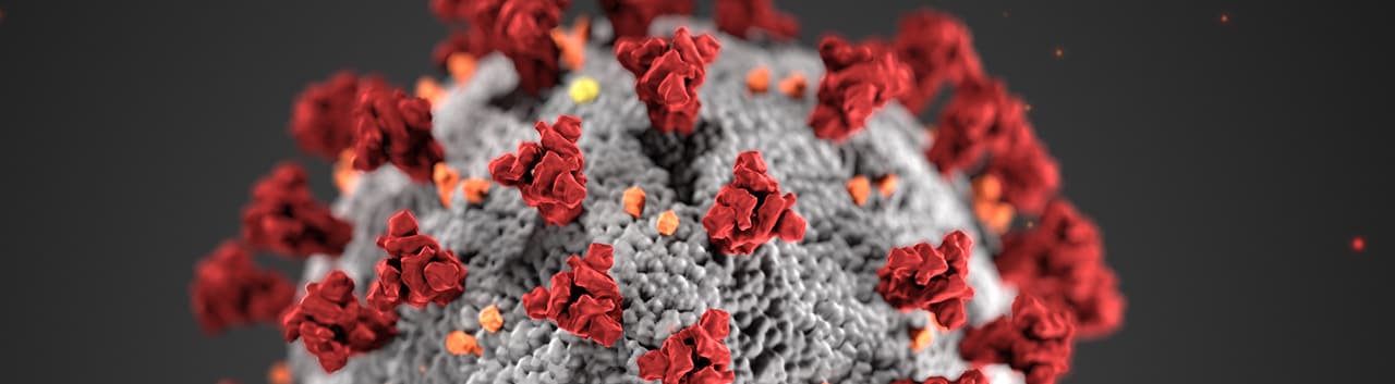 Covid-19 Coronavirus