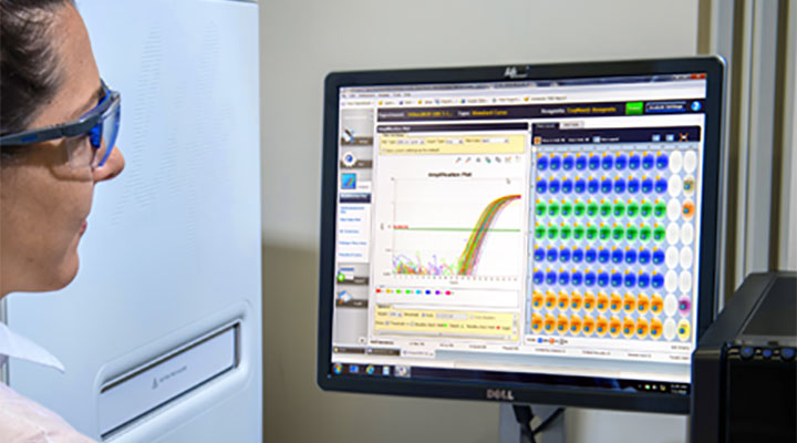 Lab tech looking at computer
