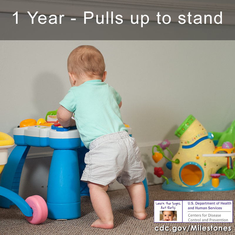 Pulls up to stand image 2