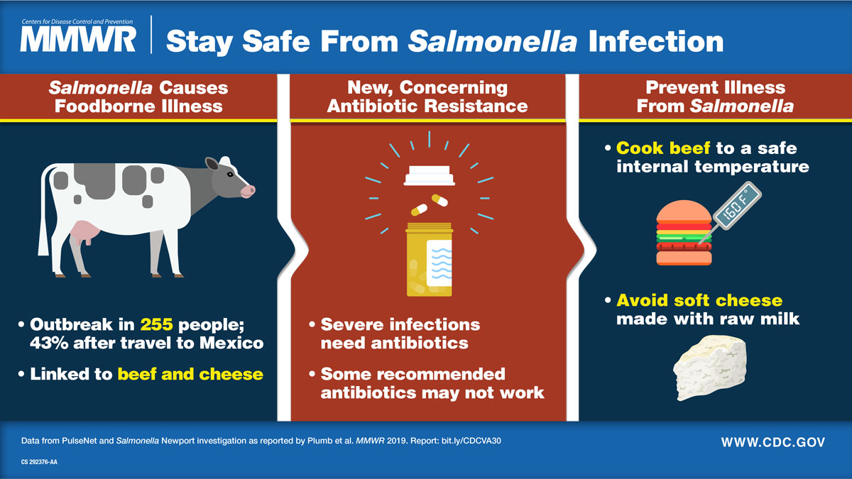 Salmonella MMWR VA_1200x675 Visual abstract with text: Outbreak in 255 people, 43% after travel to Mexico. Linked to beef and cheese. Severe infections need antibiotics. Some recommended antibiotics may not work. Cook beef to a safe internal temperature. Avoid soft cheeses made with raw milk.