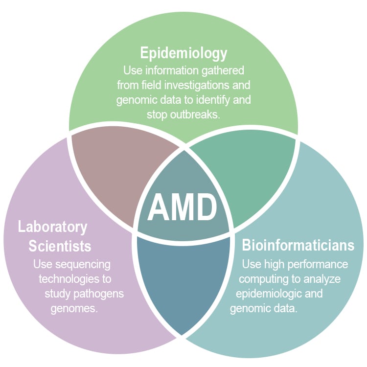 Test Venn diagram with AMD in the center surrounded by Epidemiologists, Laboratory scientists, and Bioinformaticians.