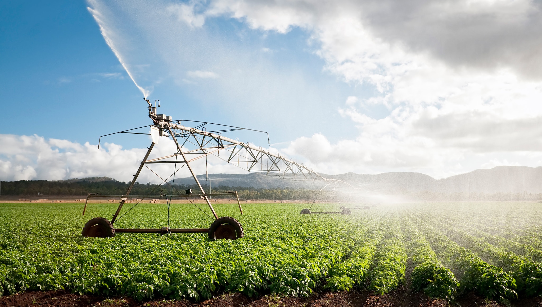 Agriculture Crop Irrigation An agriculture crop irrigation