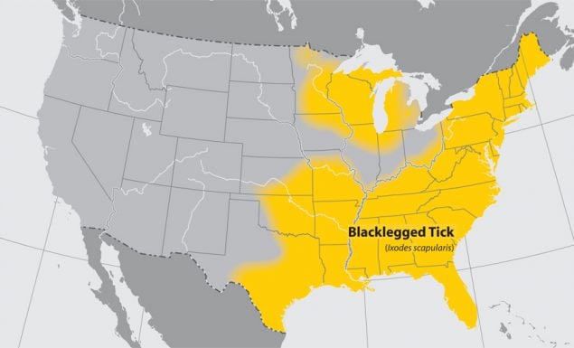 -- title missing -- Map of United States with states with blacklegged ticks highlighted in yellow.