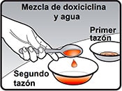 Imagen de la mano de una persona poniendo en un segundo tazón la cantidad específica de la mezcla de doxiciclina y agua que corresponde a la dosis correcta.