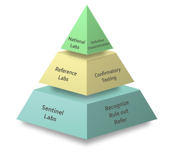 Pyramid representing the Laboratory Response Network Pyramid representing the Laboratory Response Network - National Labs (top), Reference Labs (middle) and Sentinel Labs (bottom).