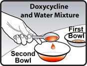 Image of person putting the specific amount of doxycycline and water mixture that corresponds with the correct dose, into a second bowl Image of person putting the specific amount of doxycycline and water mixture that corresponds with the correct dose, into a second bowl.