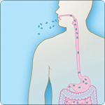 Illustration of anthrax spores being eaten.