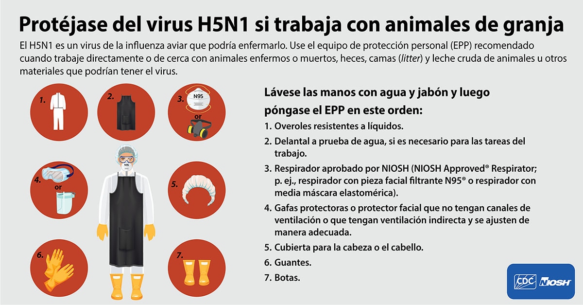 Protéjase del virus H5N1 si trabaja con animales de granja Protéjase del virus H5N1 si trabaja con animales de granja 1200x625 for LinkedIn