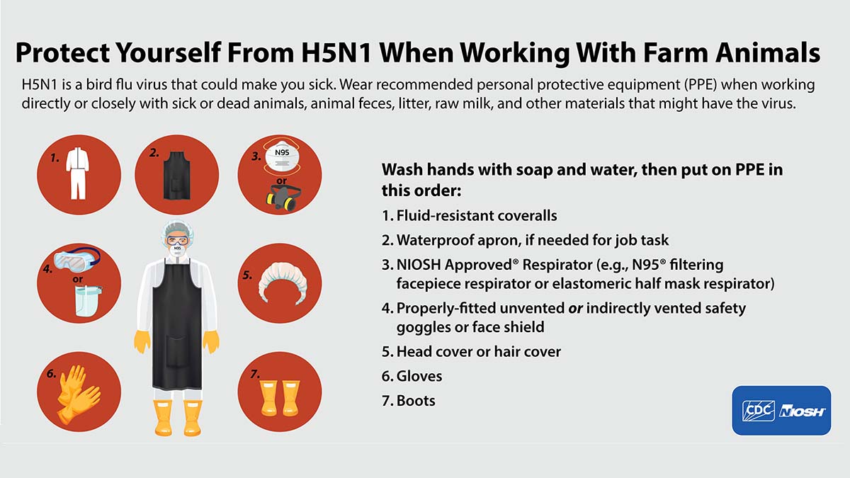 Protect Yourself From H5N1 When Working With Farm Animals 1200x675 for Twitter/X Protect Yourself From H5N1 When Working With Farm Animals 1200x675 for Twitter/X