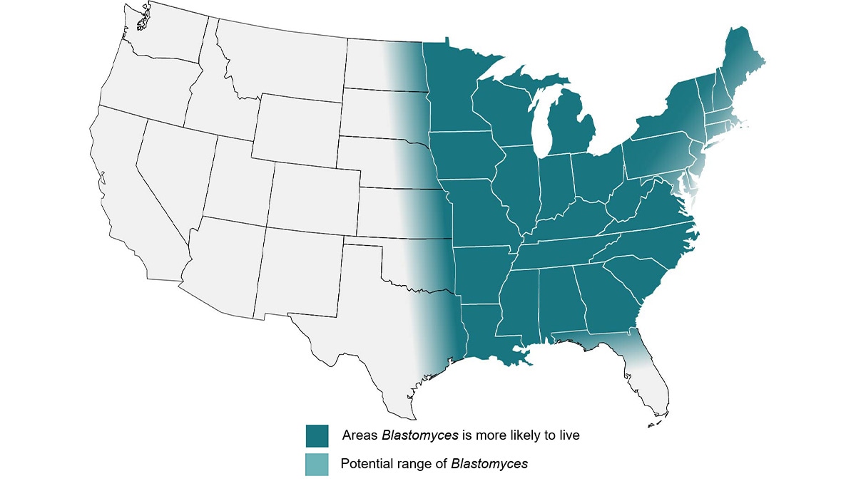 Map showing approximate area with the presence of Blastomyces in the U.S.