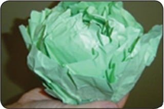 Figura 4 Una persona dobla hojas de papel verde para formar un repollo de papel