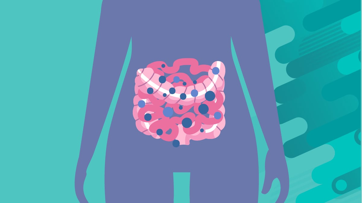 Candida in body illustration of intestines with candida inside