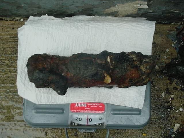 Corroded mortar A recovered mortar showing corrosion after years of environmental exposure.