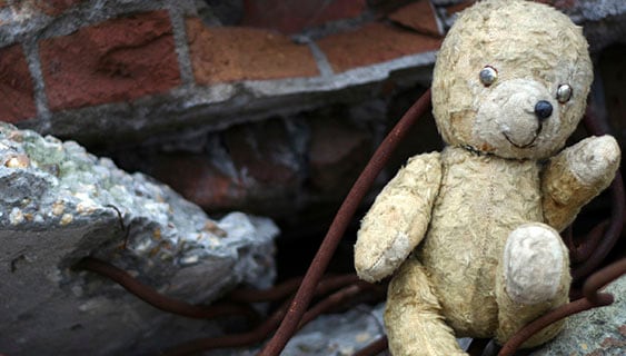 Teddy bear outside after disaster Teddy bear outside after disaster