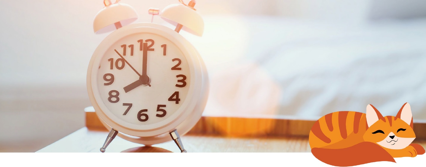 an alarm clock and a vector image of a sleeping cat