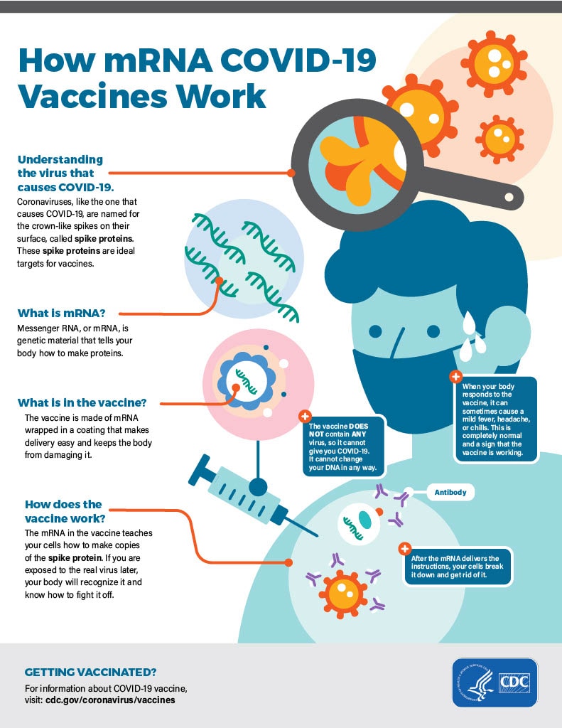 How mRNA COVID-19 Vaccines Work Illustration of how mRNA COVID-19 vaccines work