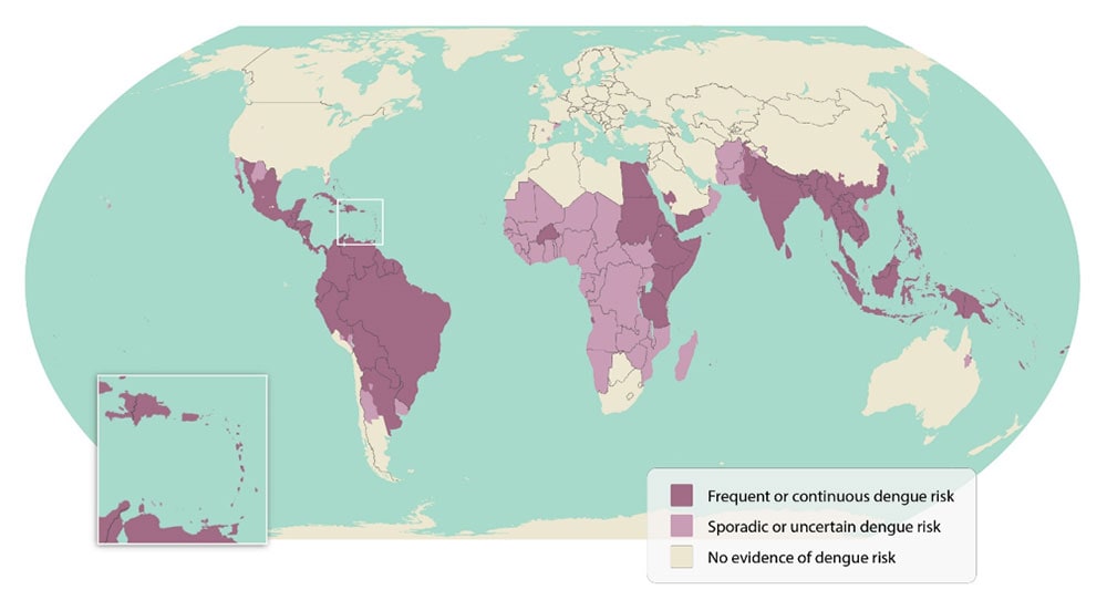 Dengue-World-Map Map of areas with dengue risk in the world showing frequent dengue activity, sporadic dengue activity, and no evidence of dengue risk.