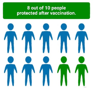 Graphic showing 8 out of 10 persons 8 de cada 10 personas tienen protección después de vacunarse.