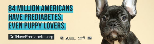 84_Million_Americans_Puppy 84 million americans have prediabates. Even puppy lovers.