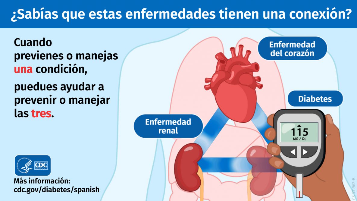 El Triángulo de la Diabetes, la Enfermedad del Corazón y la Enfermedad Renal El Triángulo de la Diabetes, la Enfermedad del Corazón y la Enfermedad Renal