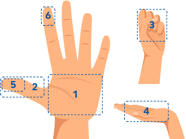 portion-graphic Hand figure portion graphic palm of hand is 3 ounces of meat, fish, or poultry. thumb tip to base is 1 ounce of meat or cheese, fist is 1 cup or 1 medium piece of fruit, cupped hand is 1-2 ounces of nuts, thumb tip is 1 tablespoon, fingertip is 1 teaspoon