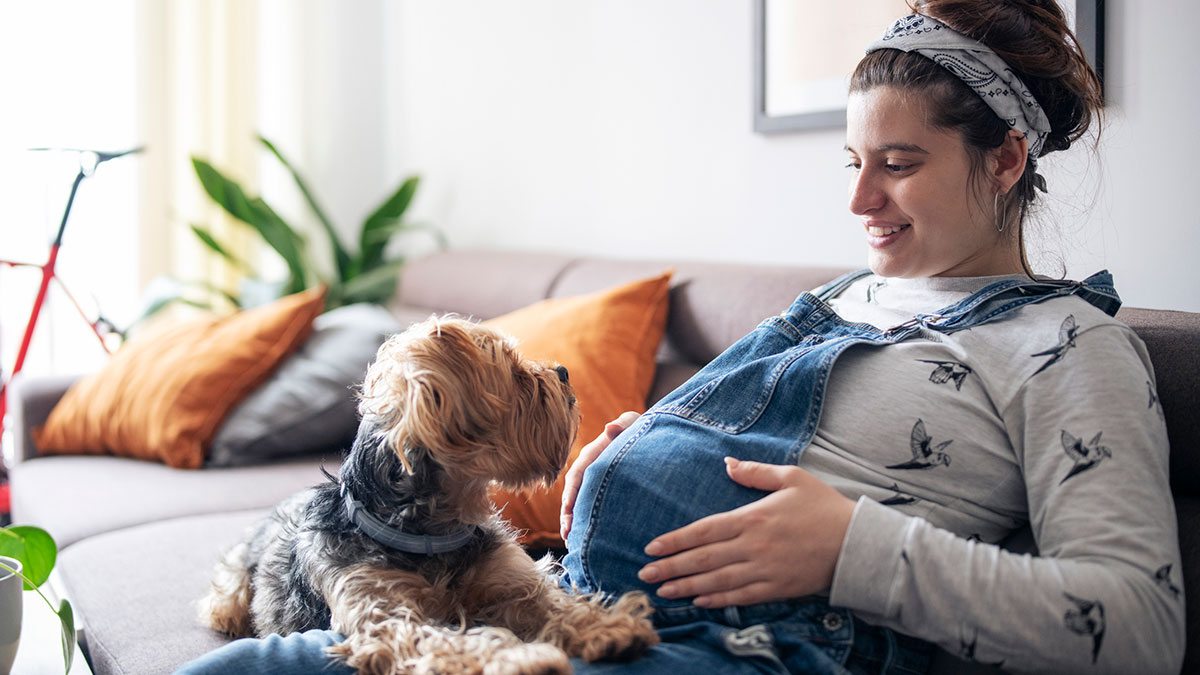 Pregnant woman and puppy Pregnant woman and puppy