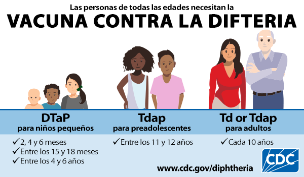graphic-diphtheria-vax-351-es.png Gráfica que muestra niños pequeños, preadolescentes y adultos que necesitan vacunarse contra la difteria.