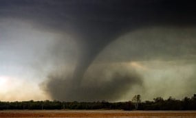 A large tornado carves a path through a forest and throws debris in the air