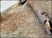 disasters_wildfire_cleanup02_210px Photo of downed power lines.
