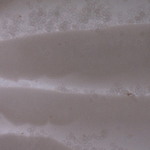 Bertiella_proglottid_LTU.jpg Figure C: Partially-cleared proglottids of <em>Bertiella</em> sp. In this image, many eggs can be seen through the proglottids. Image courtesy of the National Public Health Surveillance Laboratory, Vilnius, Lithuania.