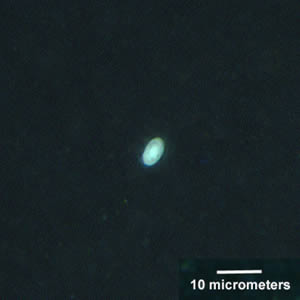 Case156_B.jpg Figure B