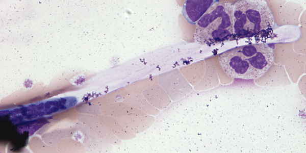 Case206_C.jpg Figure C