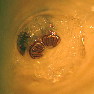 Case231_C.jpg Figure C