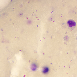 Case245_C.jpg Figure C