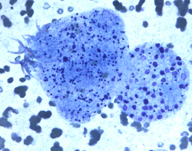 Case247_C.jpg Figure C