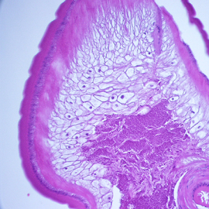 Case248_D.jpg Figure D