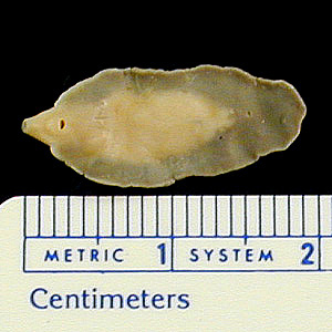 Case263_C.jpg Figure C