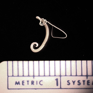 April - 2010 - Case #273 A 68-year-old man underwent a routine colonoscopy at a local V. A. Medical Center. He had no complaints of illness but had recently traveled to Ethiopia. A worm-like object measuring approximately 30 millimeters in length was observed and recovered.