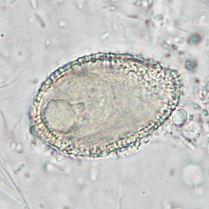 Case286_C.jpg Figure C