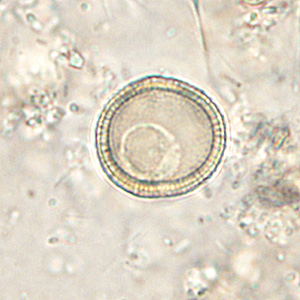 Case286_E.jpg Figure E