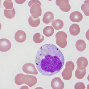 Case287_C.jpg Figure C