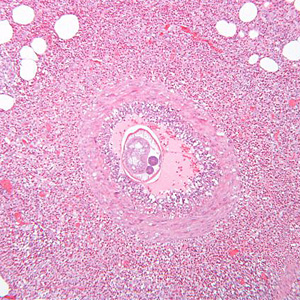 Case289_C.jpg Figure C