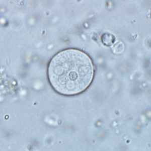 Case291_C.jpg Figure C