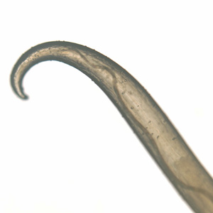 Case301_C.jpg Figure C