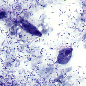 Case303_C.jpg Figure C