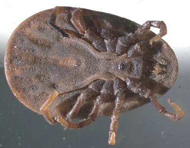 Case304_B.jpg Figure B