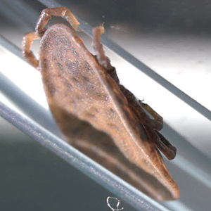 Case304_C.jpg Figure C