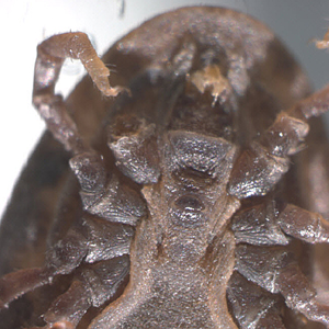 Case304_D.jpg Figure D