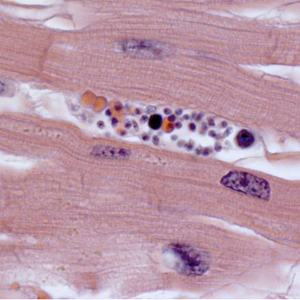 Case308_C.jpg Figure C